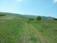 /album/kepgaleria-i-kondenzgyik-maraton-miskolc-utvonala/a20120428-124238-resize-jpg/