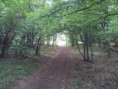 /album/kepgaleria-i-kondenzgyik-maraton-miskolc-utvonala/a20120603-113820-resize-jpg/