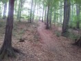 /album/kepgaleria-i-kondenzgyik-maraton-miskolc-utvonala/a20120603-120351-resize-jpg/