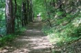/album/kepgaleria-lilalfured-javorkut-lillafured/img-5153-resize-jpg/