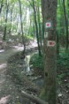 /album/kepgaleria-bankut-lazberc-varbo/img-7931-resize-jpg/