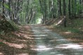 /album/kepgaleria-bankut-lazberc-varbo/img-7963-resize-jpg/