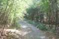 /album/kepgaleria-bankut-lazberc-varbo/img-7979-resize-jpg/