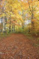 /album/kepgaleria-nagymezo-rovid-kor/img-9248-jpg/