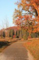 /album/kepgaleria-nagymezo-rovid-kor/img-9356-resize-jpg/