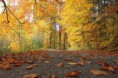 /album/kepgaleria-nagymezo-rovid-kor/img-9371-jpg/
