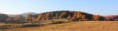/album/kepgaleria-nagymezo-rovid-kor/img-9231-resize-jpg/