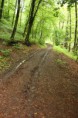 /album/kepgaleria-szilvasvarad-fatyolvizeses/img-1838-resize-jpg/